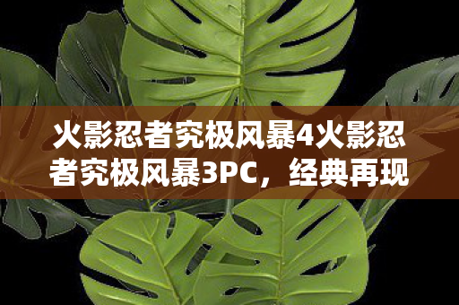 火影忍者究极风暴4火影忍者究极风暴3PC图片