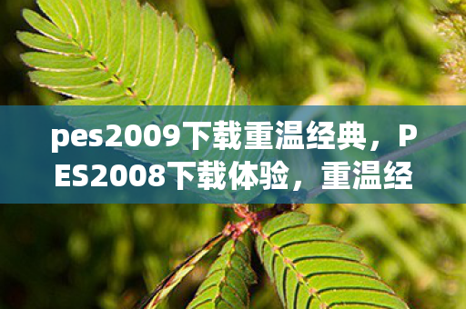PES2009与PES2008下载图片