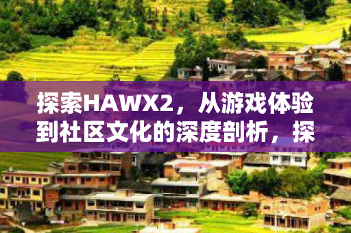 从游戏体验到社区文化的深度剖析图片