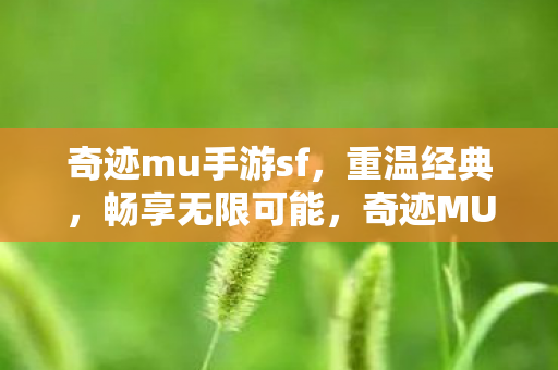 奇迹mu手游sf图片
