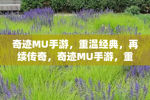 奇迹MU手游图片