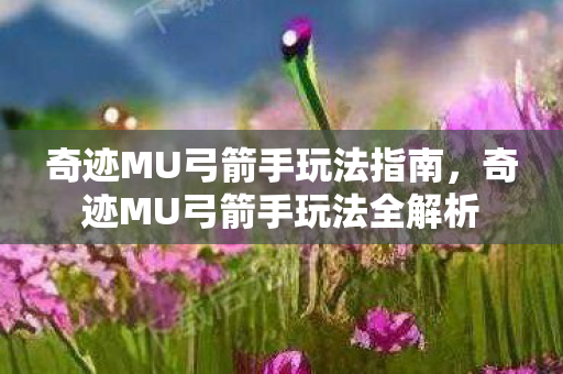 奇迹MU弓箭手玩法全解析图片