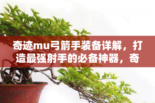 奇迹MU弓箭手装备全解析图片