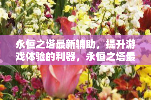 提升游戏体验的利器图片