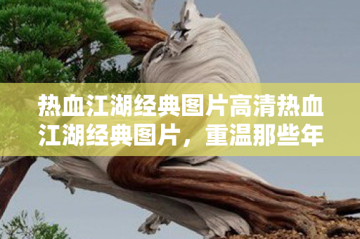 热血江湖经典图片高清热血江湖经典图片，重温那些年的江湖情怀，重温热血江湖经典图片，感受江湖情怀