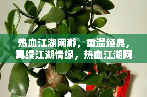 热血江湖网游,重温经典,再续江湖情缘,热血江湖网游,重温经典,再续江湖情缘 热血江湖网游,重温经典,再续江湖情缘,热血江湖网游,重温经典,再续江湖情缘