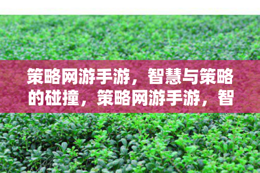 智慧与策略的碰撞盛宴图片