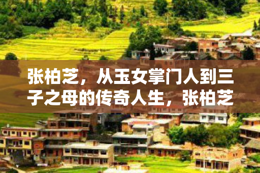 从玉女掌门人到三子之母的传奇人生图片