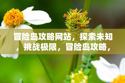 冒险岛攻略网站图片