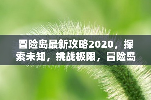 冒险岛最新攻略2020图片
