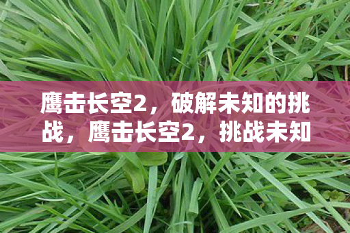 破解未知的挑战图片