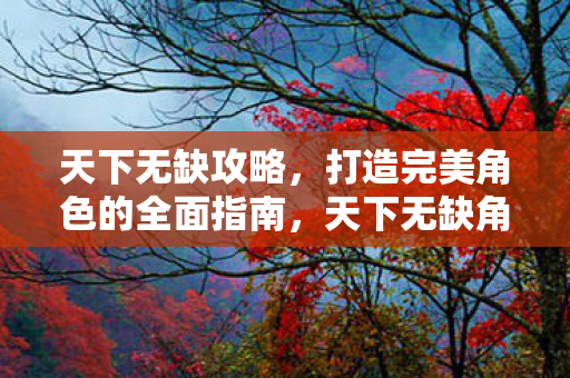 天下无缺角色打造全面攻略图片