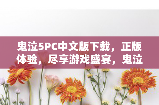 鬼泣5PC中文版下载图片