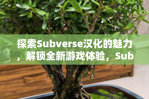 探索Subverse汉化的魅力,解锁全新游戏体验,Subverse汉化,解锁全新游戏体验的魅力 探索Subverse汉化的魅力,解锁全新游戏体验,Subverse汉化,解锁全新游戏体验的魅力