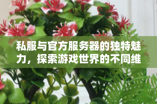 私服与官方服务器的独特魅力,探索游戏世界的不同维度,私服与官方服务器,探索游戏世界的不同维度 私服与官方服务器的独特魅力,探索游戏世界的不同维度,私服与官方服务器,探索游戏世界的不同维度