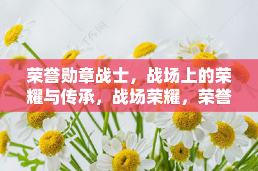 荣誉勋章战士,战场上的荣耀与传承,战场荣耀,荣誉勋章战士的传承 荣誉勋章战士,战场上的荣耀与传承,战场荣耀,荣誉勋章战士的传承