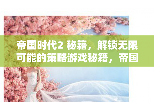 帝国时代2 秘籍，解锁无限可能的策略游戏秘籍，帝国时代2，解锁无限策略的游戏秘籍