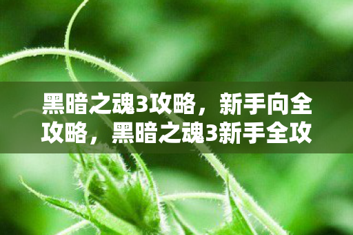 黑暗之魂3攻略，新手向全攻略，黑暗之魂3新手全攻略，从零开始打造你的传奇之旅