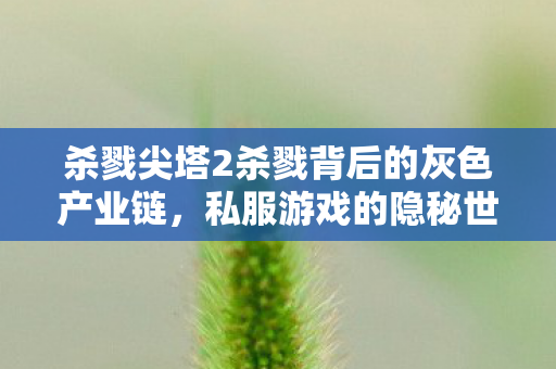杀戮尖塔2杀戮背后的灰色产业链图片