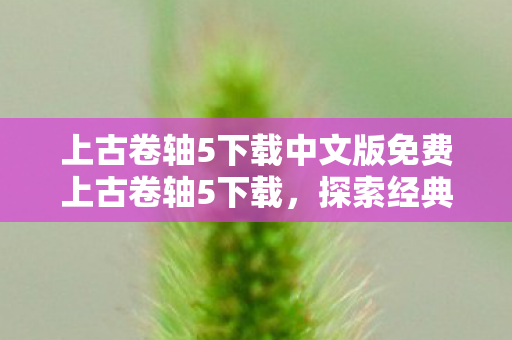上古卷轴5中文版免费下载开启全新游戏体验图片