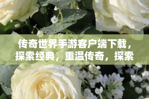 传奇世界手游客户端下载图片