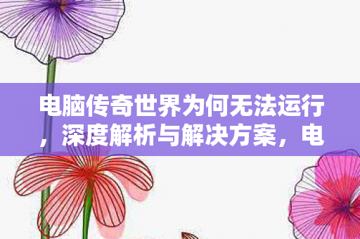 电脑传奇世界为何无法运行图片