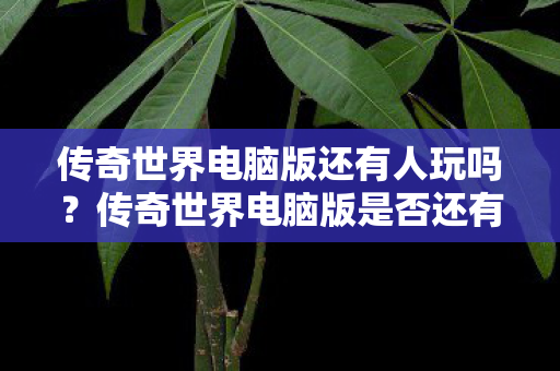 传奇世界电脑版是否还有人玩图片