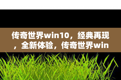 传奇世界win10图片