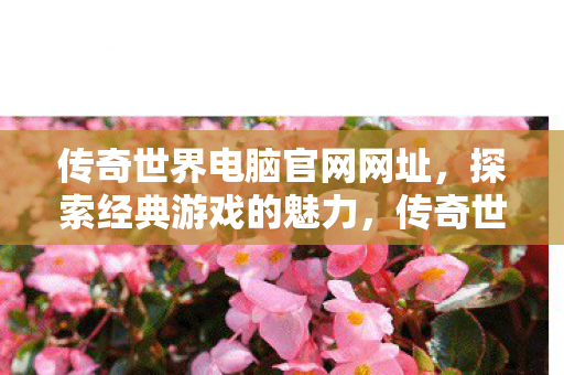 传奇世界电脑官网网址图片