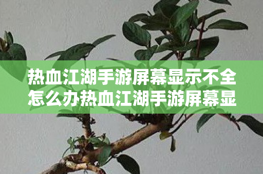 热血江湖手游屏幕显示不全怎么办热血江湖手游屏幕显示不全的解决攻略，热血江湖手游屏幕显示不全的解决攻略