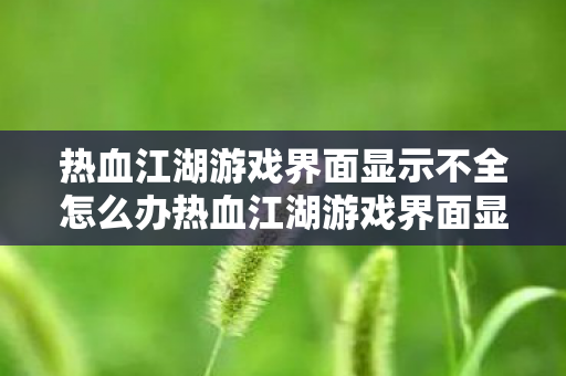 热血江湖游戏界面显示不全怎么办热血江湖游戏界面显示不全的解决之道，热血江湖游戏界面显示不全的解决之道