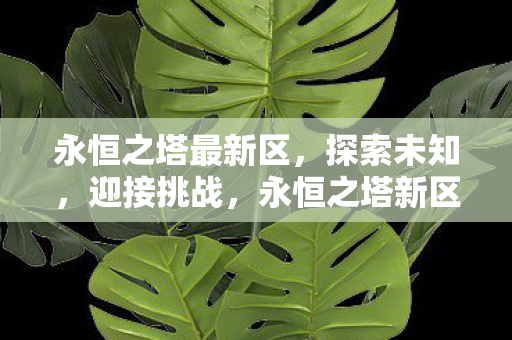 永恒之塔新区开启图片