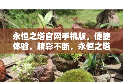 永恒之塔官网手机版图片