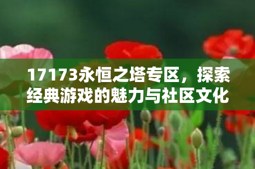 探索经典游戏的魅力与社区文化图片