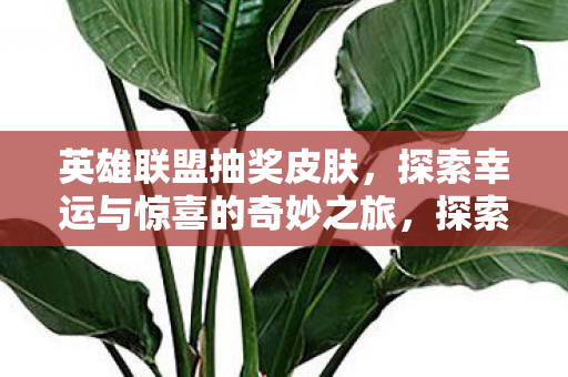 探索幸运与惊喜的奇妙之旅图片