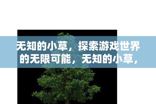 探索游戏世界的无限可能图片