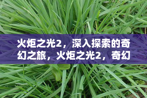 奇幻世界的深入探索之旅图片