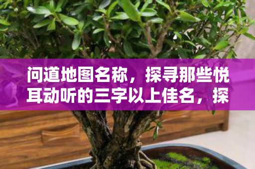 问道地图名称,探寻那些悦耳动听的三字以上佳名,探寻悦耳动听的三字以上地图佳名 问道地图名称,探寻那些悦耳动听的三字以上佳名,探寻悦耳动听的三字以上地图佳名