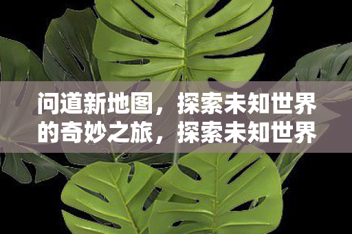 问道新地图,探索未知世界的奇妙之旅,探索未知世界的奇妙之旅,问道新地图揭秘 问道新地图,探索未知世界的奇妙之旅,探索未知世界的奇妙之旅,问道新地图揭秘