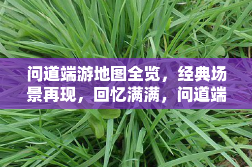 问道端游地图全览，经典场景再现，回忆满满，问道端游经典地图全览，重温经典场景