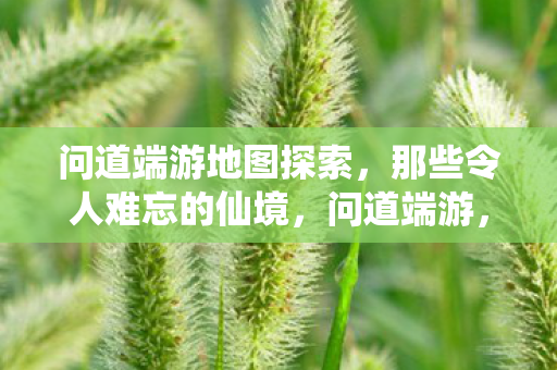 问道端游地图探索，那些令人难忘的仙境，问道端游，探索仙境，令人难忘的地图之旅