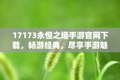 17173永恒之塔手游官网下载图片