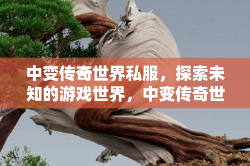 探索未知的游戏世界图片