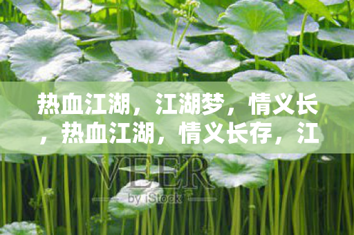 热血江湖,江湖梦,情义长,热血江湖,情义长存,江湖梦未醒 热血江湖,江湖梦,情义长,热血江湖,情义长存,江湖梦未醒