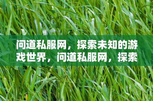 问道私服网,探索未知的游戏世界,问道私服网,探索未知的游戏世界 问道私服网,探索未知的游戏世界,问道私服网,探索未知的游戏世界