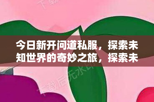 今日新开问道私服，探索未知世界的奇妙之旅，探索未知世界的奇妙之旅，今日新开问道私服