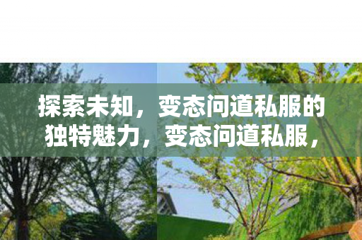 探索未知，变态问道私服的独特魅力，变态问道私服，探索未知的独特魅力