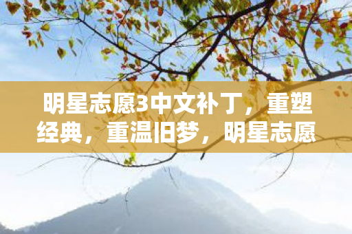 明星志愿3中文补丁图片