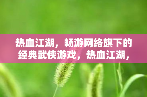 热血江湖，畅游网络旗下的经典武侠游戏，热血江湖，畅游网络经典武侠游戏