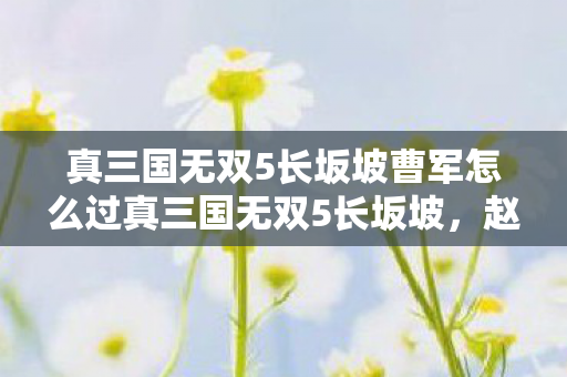 真三国无双5长坂坡曹军怎么过真三国无双5长坂坡图片